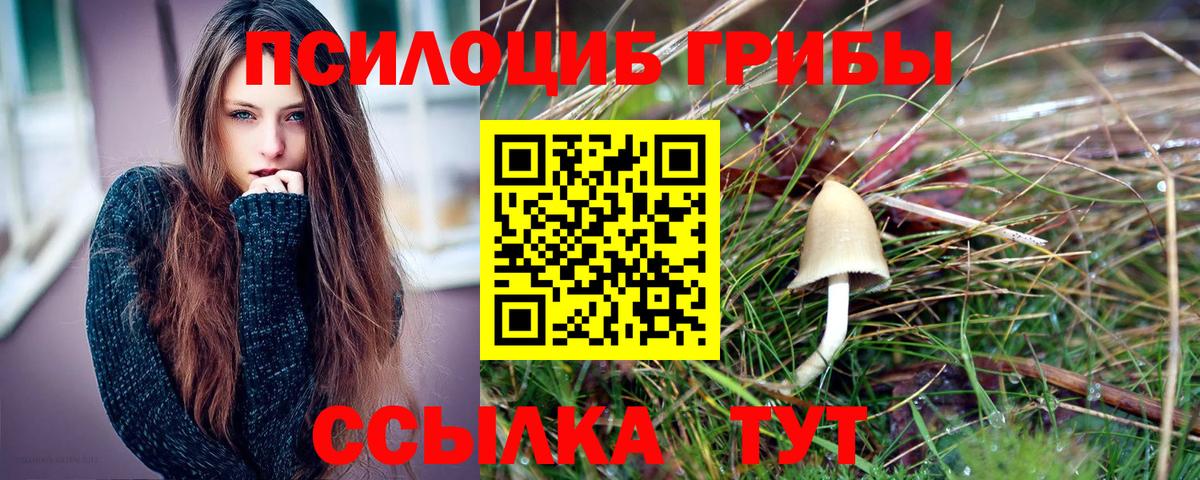 Галлюциногенные грибы мухоморы Томск